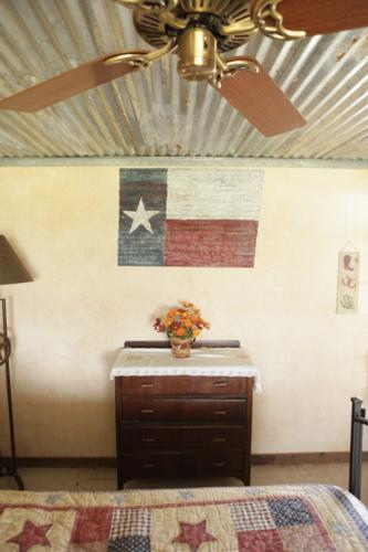 TRLoneStarDeco